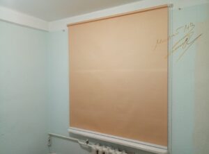 Рулонные шторы в спальне с тканью Luminis 218 Apricot