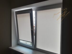 Рулонные шторы в комнате с тканью Len T 0877 Peach