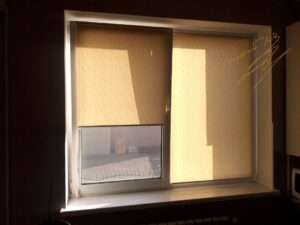 Рулонные шторы на кухне с тканью Woda T 1839 Beige (1)